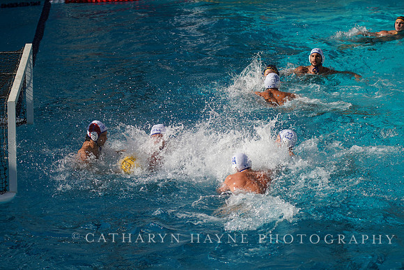 MWP: California Golden Bears vs UCLA Bruins