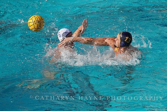 MWP: California Golden Bears vs UCLA Bruins