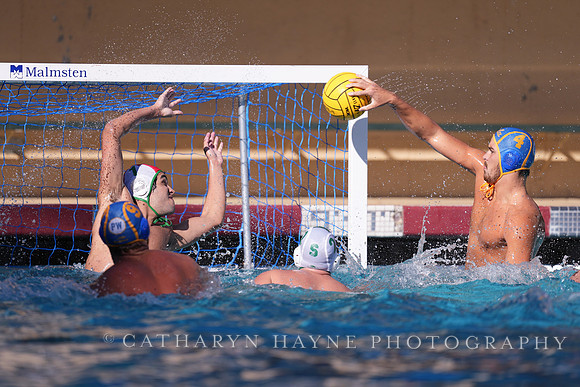 MWP: Salem University Tigers vs UCLA Bruins