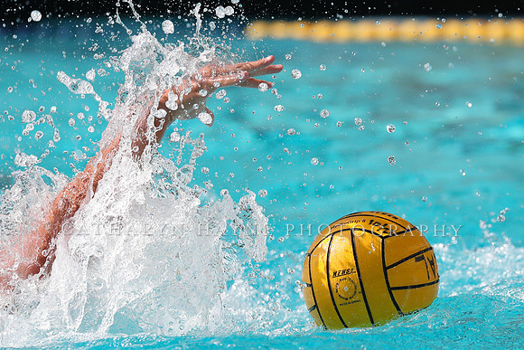 Collegiate Mens Water Polo: California Golden Bears vs UC Santa Barbara Gauchos