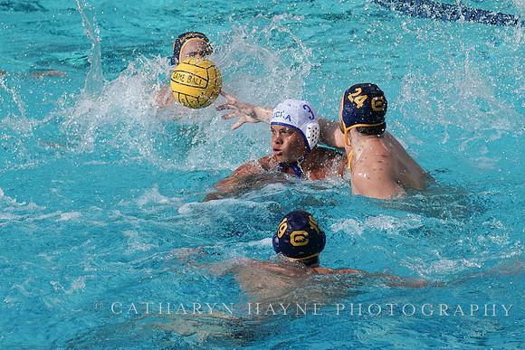 MWP: California Golden Bears vs UCLA Bruins