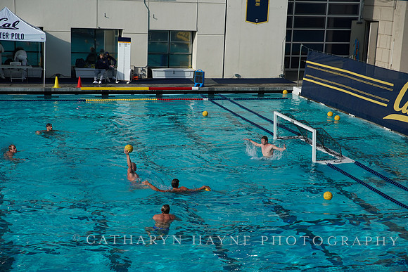 MWP: California Golden Bears vs UCLA Bruins