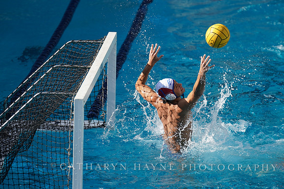 MWP: California Golden Bears vs UCLA Bruins
