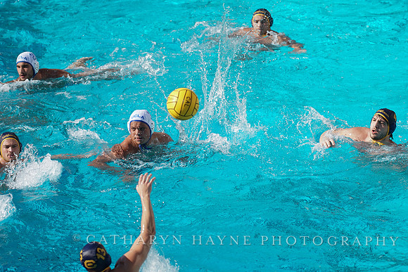 MWP: California Golden Bears vs UCLA Bruins