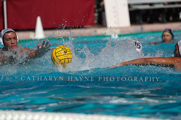 Collegiate Men's Water Polo: MPSF Invitational: UC San Diego Tritons vs Santa Clara University Broncos