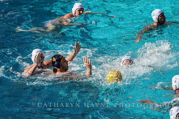 MWP: California Golden Bears vs UCLA Bruins