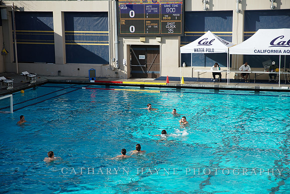 MWP: California Golden Bears vs UCLA Bruins