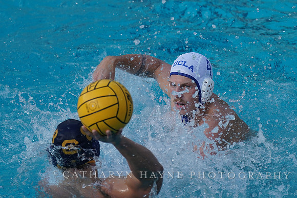 MWP: California Golden Bears vs UCLA Bruins
