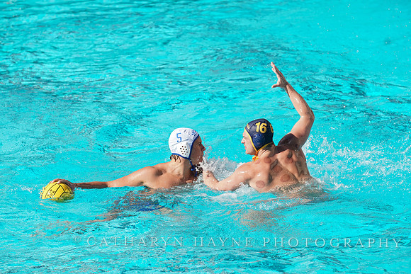 MWP: California Golden Bears vs UCLA Bruins