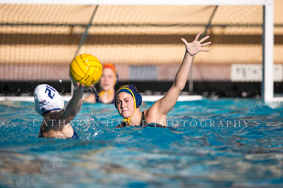 Cal vs UC Davis at Stanford Invitational
