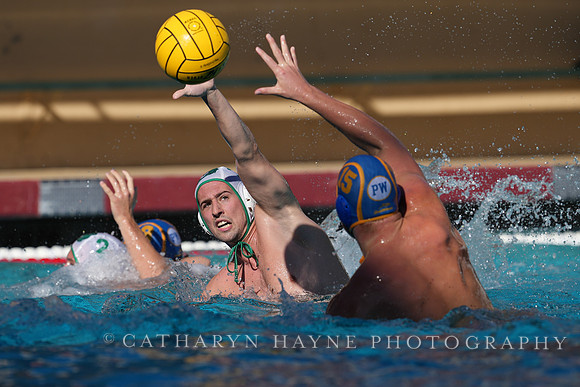 MWP: Salem University Tigers vs UCLA Bruins