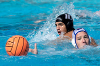 Youth Club Water Polo: Kap 7: U19 SFWPC vs Royal 559