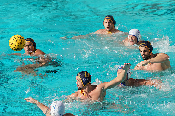 MWP: California Golden Bears vs UCLA Bruins