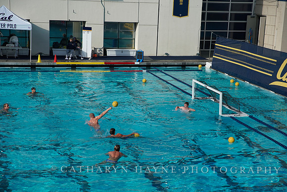 MWP: California Golden Bears vs UCLA Bruins