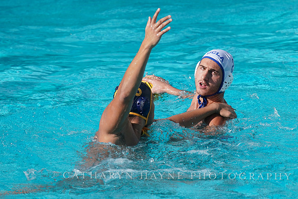 MWP: California Golden Bears vs UCLA Bruins
