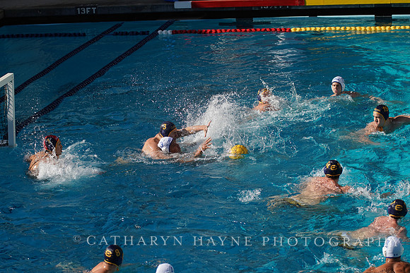 MWP: California Golden Bears vs UCLA Bruins
