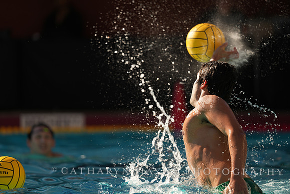 MWP: Salem University Tigers vs UCLA Bruins