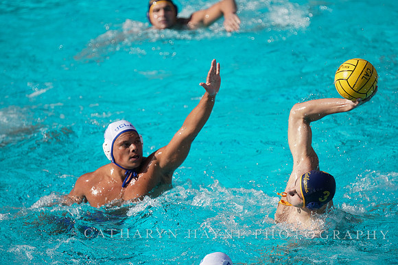 MWP: California Golden Bears vs UCLA Bruins