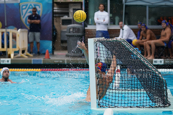 MWP:California Golden Bears vs UCSB Gauchos