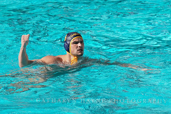 MWP: California Golden Bears vs UCLA Bruins