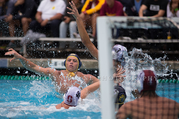 Cal vs Stanford at Mountain Pacific Sports Federation 2016