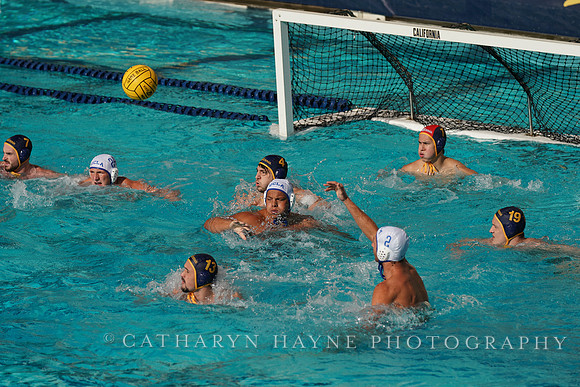 MWP: California Golden Bears vs UCLA Bruins