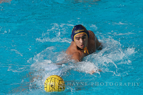 MWP: California Golden Bears vs UCLA Bruins