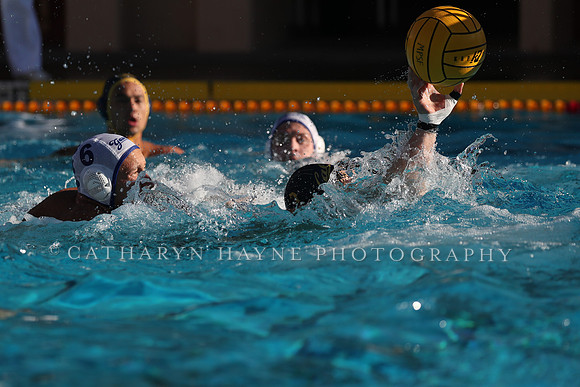 Collegiate Mens Water Polo: MPSF Invitational: California Golden Bears vs UC Santa Barbara Gauchos