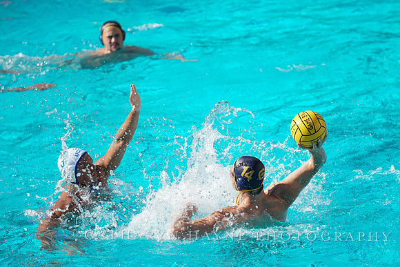 MWP: California Golden Bears vs UCLA Bruins