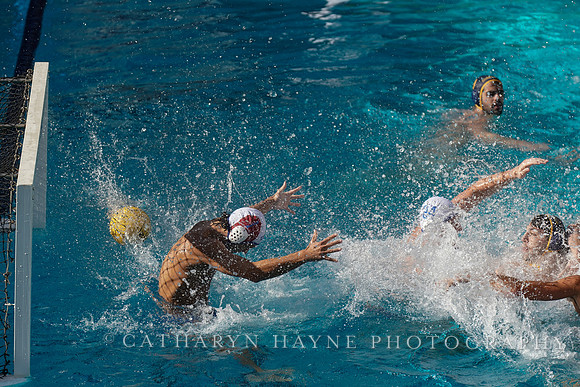 MWP: California Golden Bears vs UCLA Bruins