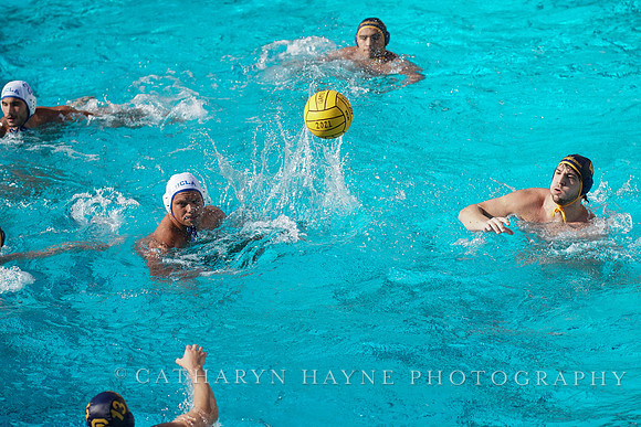 MWP: California Golden Bears vs UCLA Bruins
