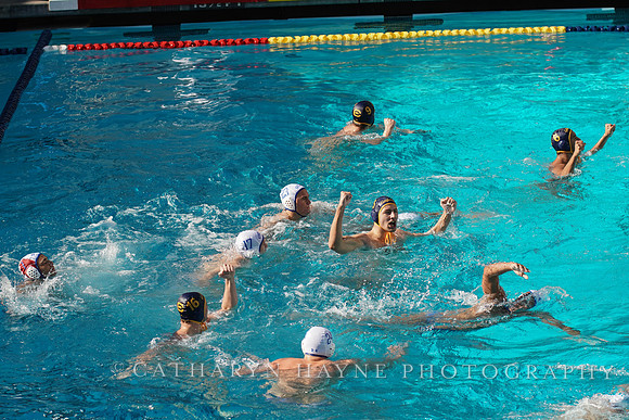 MWP: California Golden Bears vs UCLA Bruins
