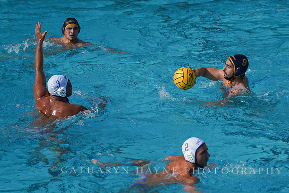 MWP: California Golden Bears vs UCLA Bruins