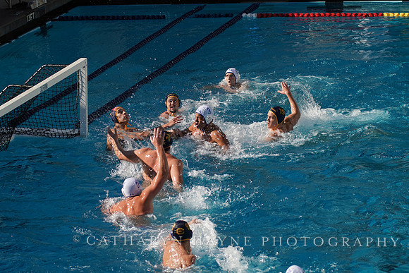 MWP: California Golden Bears vs UCLA Bruins