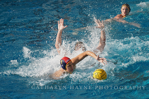 MWP: California Golden Bears vs UCLA Bruins