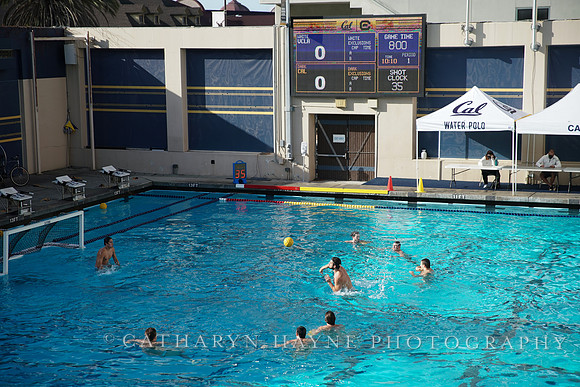 MWP: California Golden Bears vs UCLA Bruins