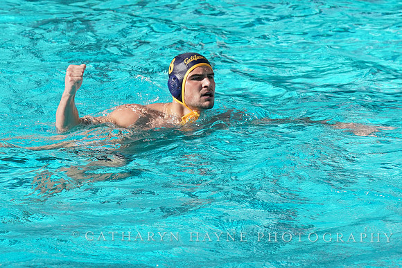 MWP: California Golden Bears vs UCLA Bruins
