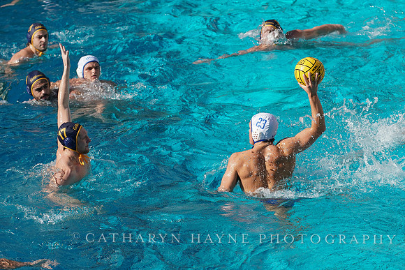 MWP: California Golden Bears vs UCLA Bruins