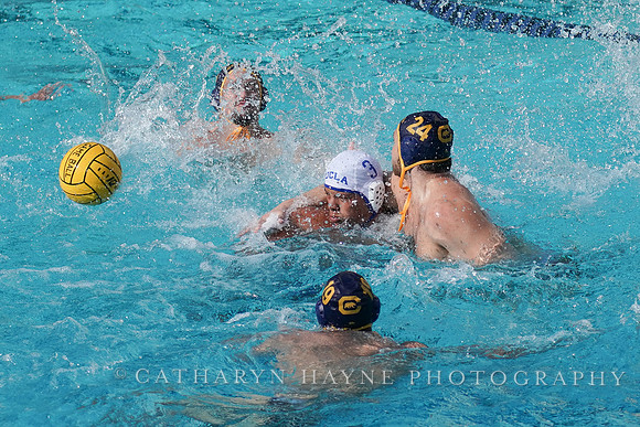 MWP: California Golden Bears vs UCLA Bruins