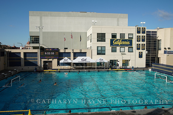 MWP: California Golden Bears vs UCLA Bruins