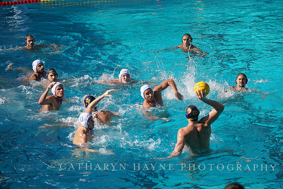 MWP: California Golden Bears vs UCLA Bruins