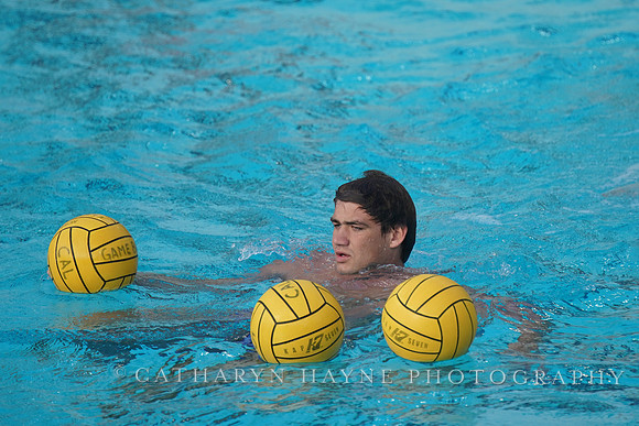 MWP: California Golden Bears vs UCLA Bruins