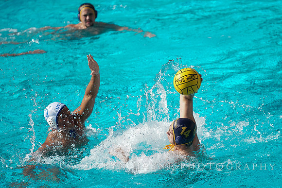 MWP: California Golden Bears vs UCLA Bruins