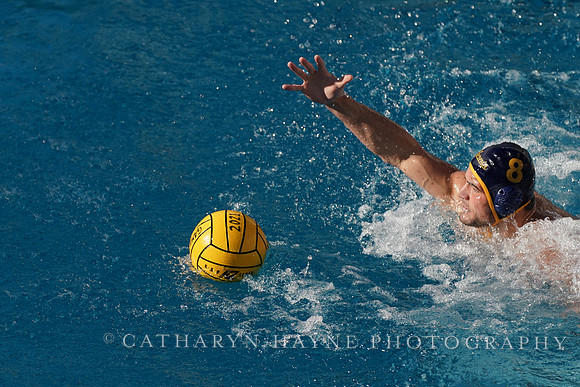MWP: California Golden Bears vs UCLA Bruins