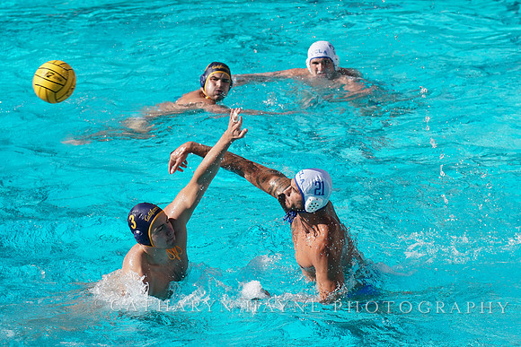 MWP: California Golden Bears vs UCLA Bruins