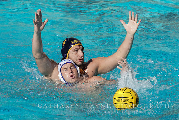 MWP: California Golden Bears vs UCLA Bruins