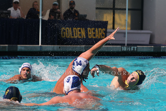 Collegiate Mens Water Polo: California Golden Bears vs UC Santa Barbara Gauchos
