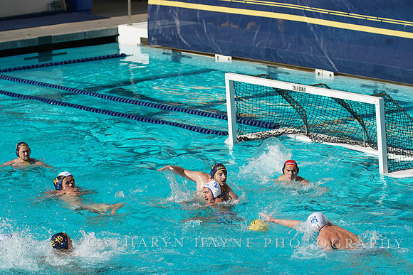 MWP: California Golden Bears vs UCLA Bruins