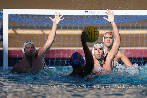 MWP: Salem University Tigers vs UCLA Bruins