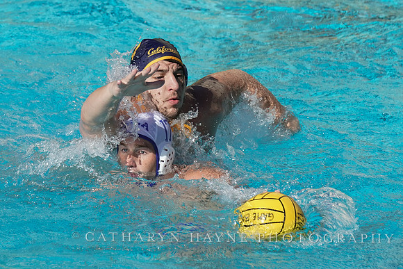 MWP: California Golden Bears vs UCLA Bruins